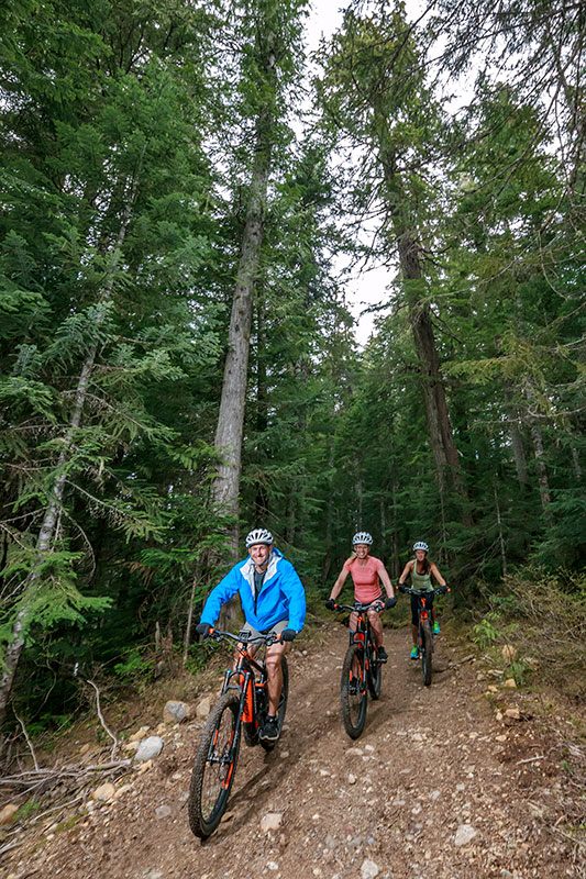 canadian wildrness adventures e-biking whistler